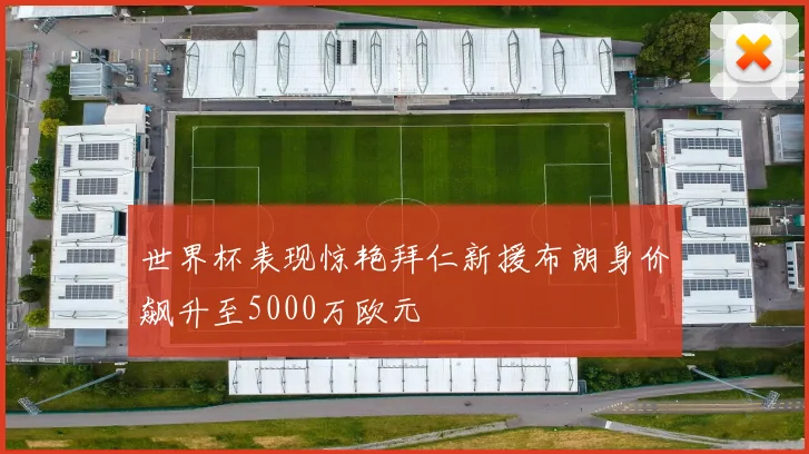 世界杯表现惊艳拜仁新援布朗身价飙升至5000万欧元